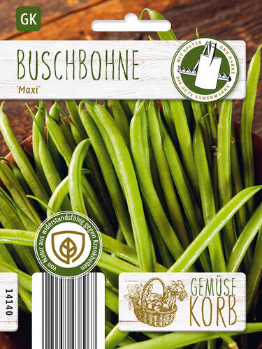 Hauptbild des Artikels "Buschbohne Maxi" (Bildbeschreibung ist in Arbeit)