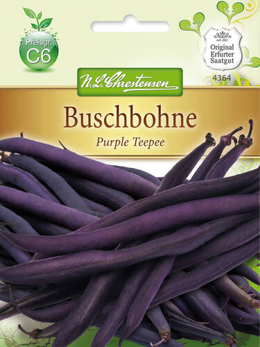 Hauptbild des Artikels "Buschbohne Purple Teepee" aus der Kategorie "Samen"