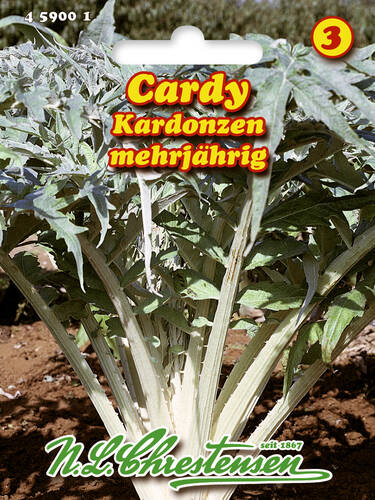 Hauptbild des Artikels "Cardy Kardonzen" aus der Kategorie "Samen"