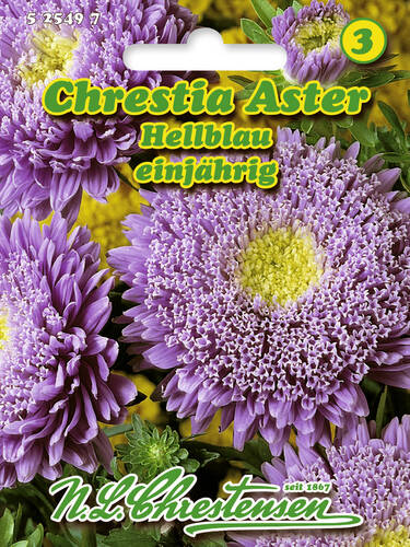 Hauptbild des Artikels "Chrestia-Aster Hellblau" aus der Kategorie "Samen"