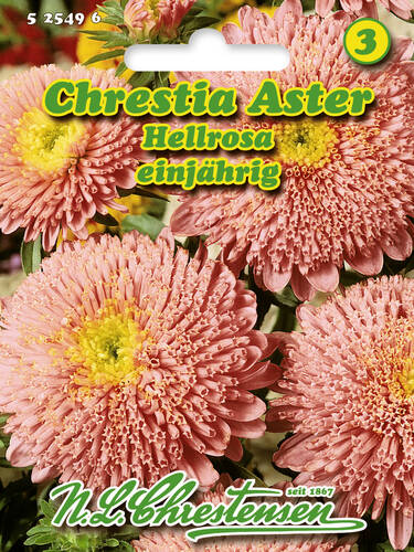 Samen - Chrestia-Aster Hellrosa