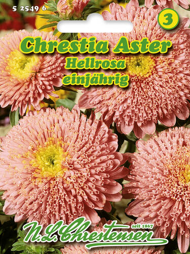 Hauptbild des Artikels "Chrestia-Aster Hellrosa" aus der Kategorie "Samen"