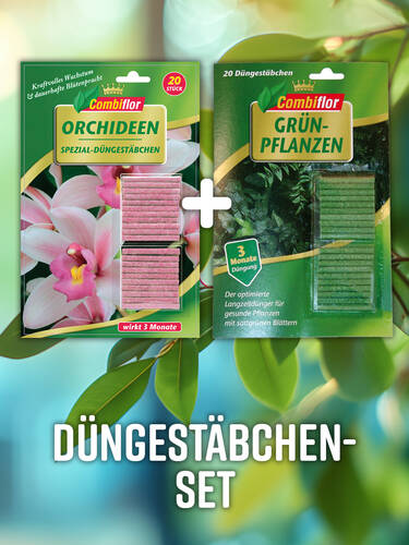 Hauptbild des Artikels "Combiflor Dngestbchen-Set fr Orchideen und Grnpflanzen" (Bildbeschreibung ist in Arbeit)