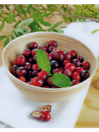 Hauptbild des Artikels "Cranberry Black Pearl" aus der Kategorie "Obstgehlze"