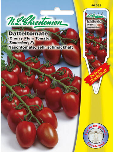 Tomatensamen - Datteltomate Santasian, F1