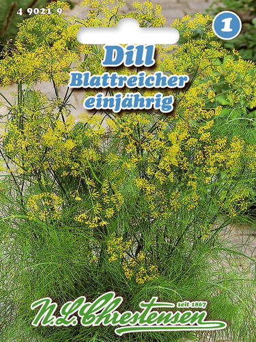 Dill Blattreicher