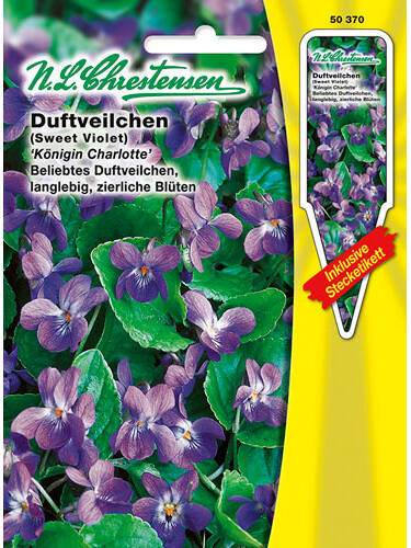 Hauptbild des Artikels "Duftveilchen Knigin Charlotte" aus der Kategorie "Samen"