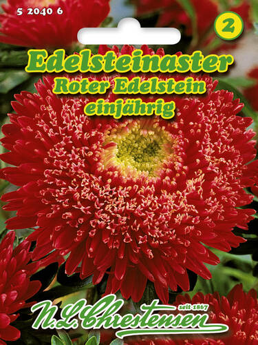 Samen - Edelsteinaster Roter Edelstein