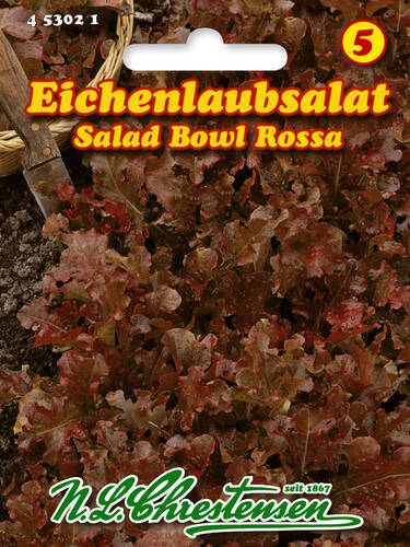 Eichenlaubsalat Salad bowl rossa