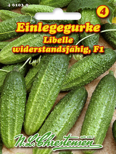 Gurkensamen - Einlegegurke Libelle, F1