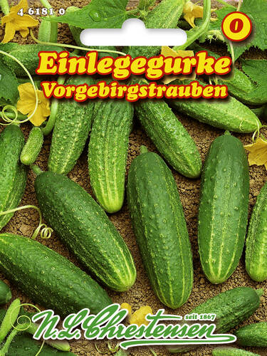 Einlegegurke Vorgebirgstrauben (Portion)