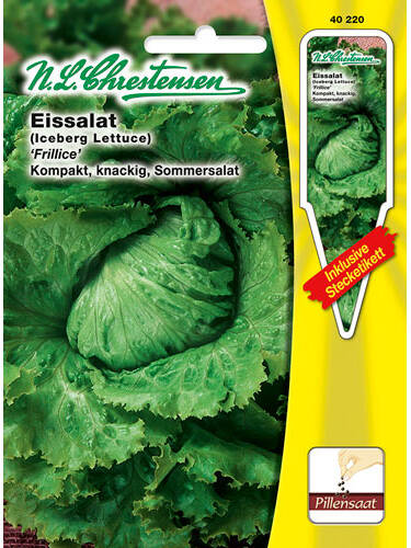 Salatsamen - Eissalat Frillice