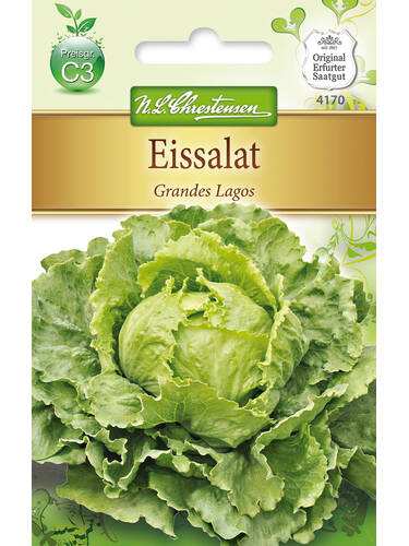 Hauptbild des Artikels "Eissalat Grandes Lagos" aus der Kategorie "Salatsamen"