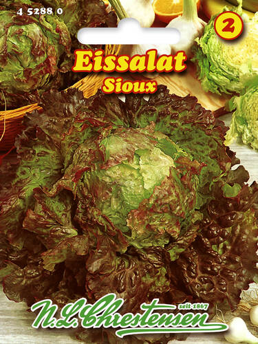 Eissalat Sioux