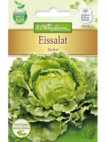 Eissalat Stylist