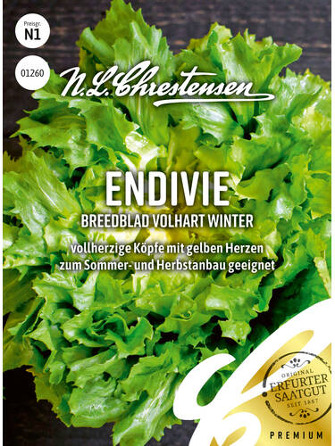 Hauptbild des Artikels "Endivie Breedblad  Volhart Winter" aus der Kategorie "Salatsamen"