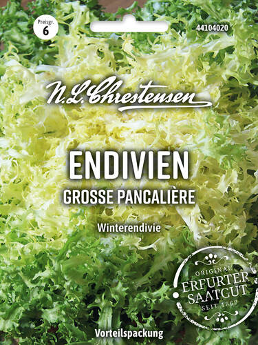 Hauptbild des Artikels "Endivien Grosse Pancalire" (Bildbeschreibung ist in Arbeit)