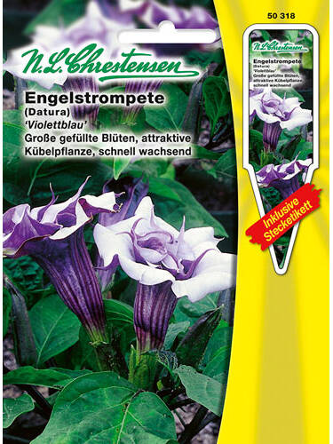Hauptbild des Artikels "Engelstrompete Violettblau" aus der Kategorie "Samen"