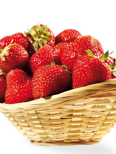 Erdbeere Polka mit Topfballen