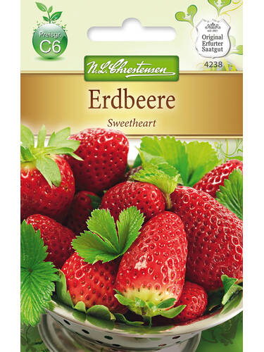 Hauptbild des Artikels "Erdbeere Sweetheart" aus der Kategorie "Samen"