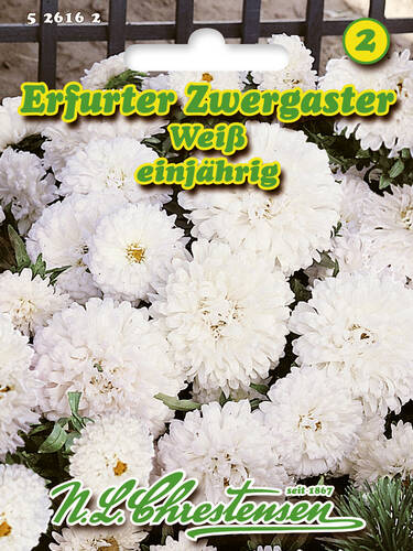 Hauptbild des Artikels "Erfurter Zwergaster Wei" aus der Kategorie "Samen"