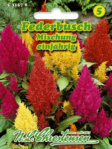 Hauptbild des Artikels "Federbusch Mischung" aus der Kategorie "Samen"