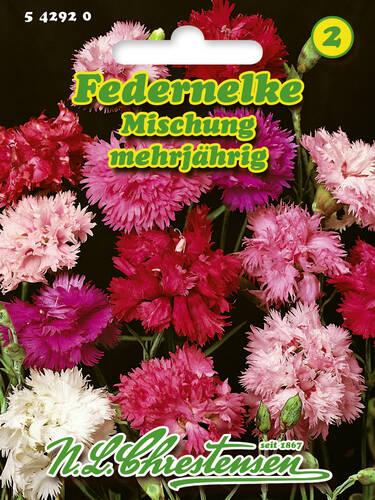 Hauptbild des Artikels "Federnelke Mischung" aus der Kategorie "Samen"