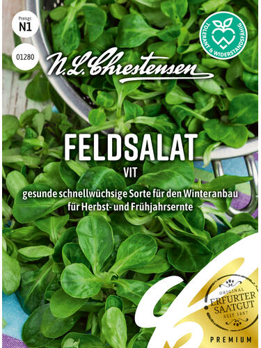 Feldsalat Vit