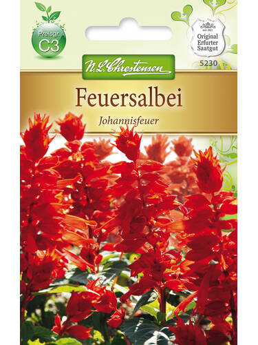 Hauptbild des Artikels "Feuersalbei Johannisfeuer" aus der Kategorie "bienenfreundliche"