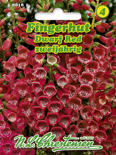 Samen - Fingerhut Dwarf Red