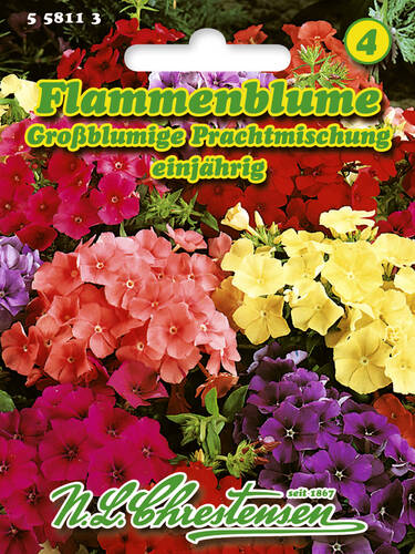 Samen - Flammenblume Prachtmischung