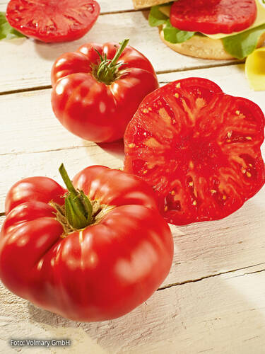 Hauptbild des Artikels "Fleischtomate Buffalosteak, F1 (veredelt)"