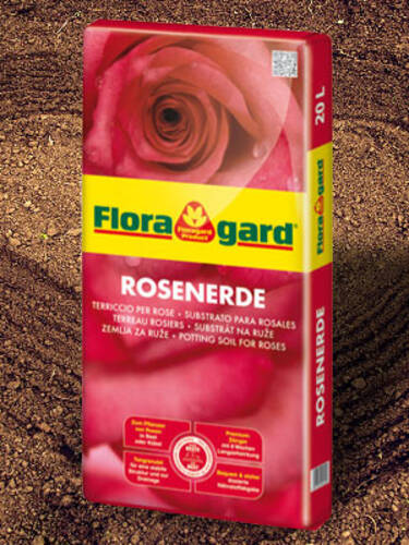 Hauptbild des Artikels "Floragard Rosenerde"