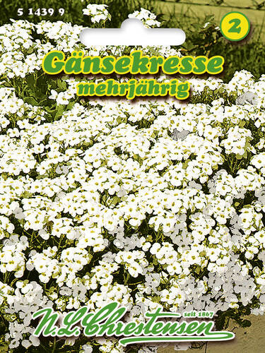 Hauptbild des Artikels "Gnsekresse" aus der Kategorie "Samen"