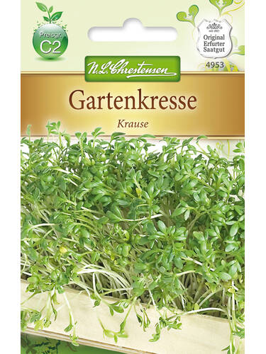 Samen - Gartenkresse Krause