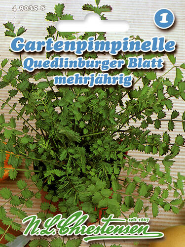 Hauptbild des Artikels "Gartenpimpinelle Quedlinburger Blatt" aus der Kategorie "Samen"