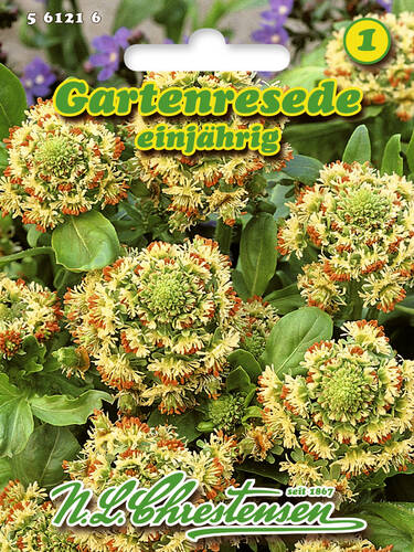 Hauptbild des Artikels "Gartenresede" aus der Kategorie "Samen"