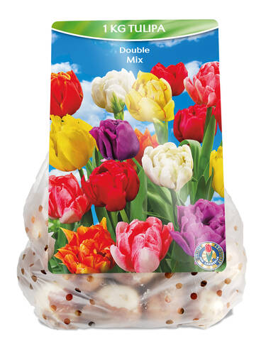 Hauptbild des Artikels "Gefllte-Tulpen-Mix" (Bildbeschreibung ist in Arbeit)