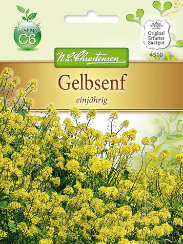 Hauptbild des Artikels "Gelbsenf"