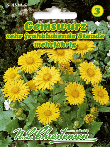 Hauptbild des Artikels "Gemswurz" aus der Kategorie "Samen"