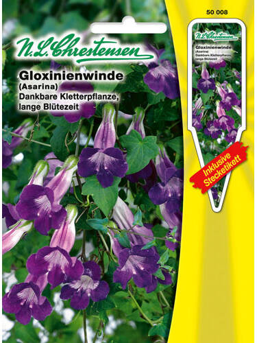 Hauptbild des Artikels "Gloxinienwinde" aus der Kategorie "Samen"