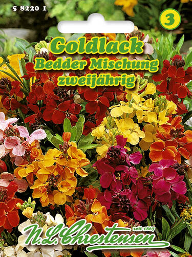 Hauptbild des Artikels "Goldlack Bedder Mischung" aus der Kategorie "Samen"