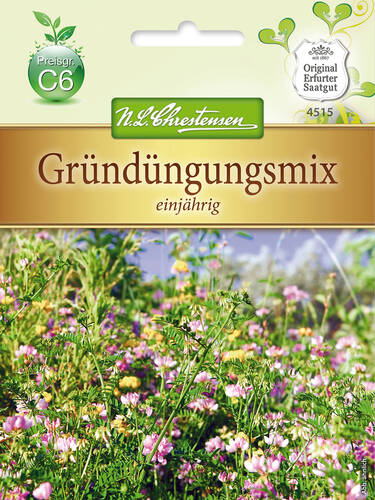 Samen - Grndngungsmix