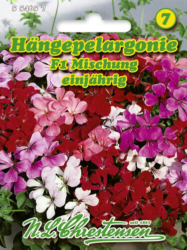 Samen - Hngepelargonie F1 Mischung