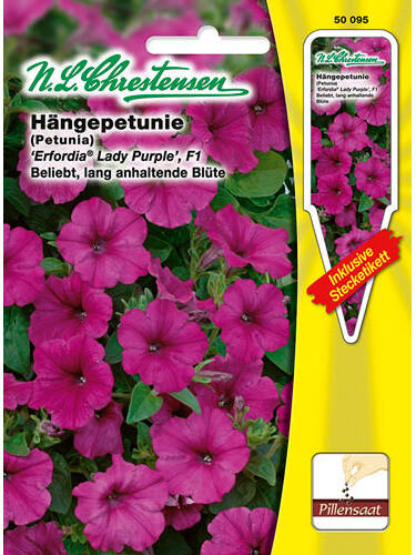 Hngepetunie Erfordia Lady Purple F1