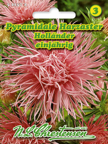 Samen - Harzaster Hollnder