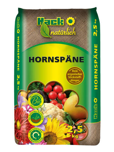 Hauptbild des Artikels "Hornspne"