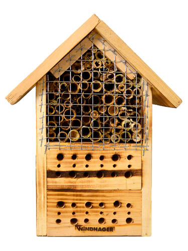 Hauptbild des Artikels "Insektenhotel Zur Post"