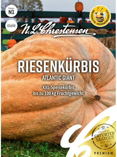 Krbis Atlantic Giant