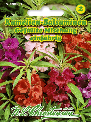 Hauptbild des Artikels "Kamelien Balsaminen Gefllte Mischung" aus der Kategorie "Samen"